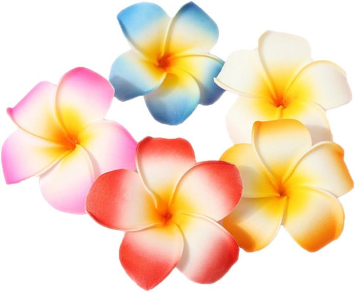 Stk bunt frau hawaii - stk, 7