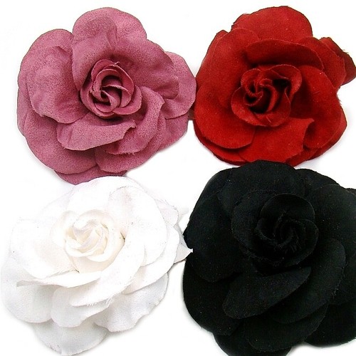Blumen haarblume rose - haarblume,