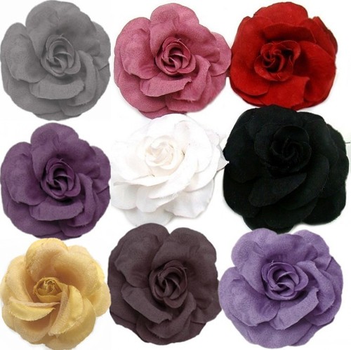 Blumen haarblume - 4x,